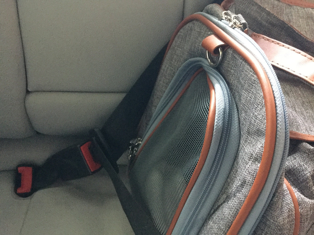 Mr. Peanut's Gold Series Big Apple Double Expandable Pet Carrier
